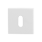 GPF890142107 WIT, SLEUTELROZET VIERKANT 50X50X8MM