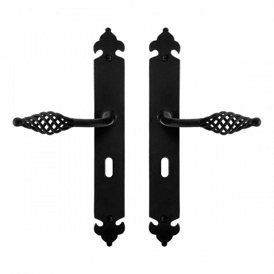 GPF6265.60 SMEEDIJZER ZWART TANE DEURKRUK OP LANGSCHILD BB56, 291X41X4