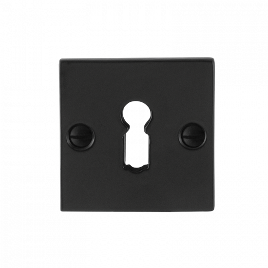 GPF6901.08 SMEEDIJZER ZWART SLEUTELROZET VIERKANT 52X52X4MM GPF6901.08 SMEEDIJZER ZWART SLEUTELROZET VIERKANT 52X52X4MM