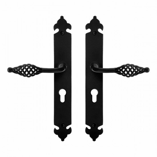 GPF6265.60 SMEEDIJZER ZWART TANE DEURKRUK OP LANGSCHILD PC55, 291X41X4