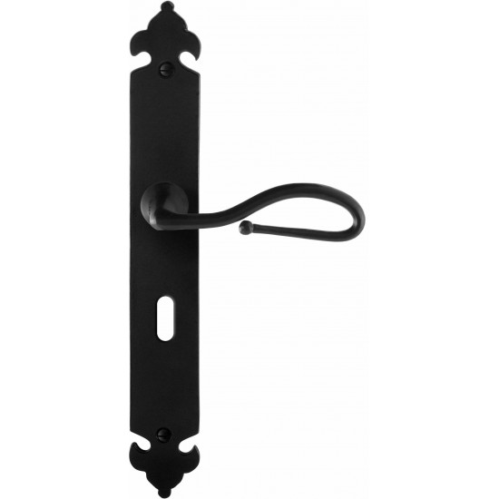 GPF6260.60R SMEEDIJZER ZWART LUMI DEURKRUK OP LANGSCHILD BB56, 291X41X