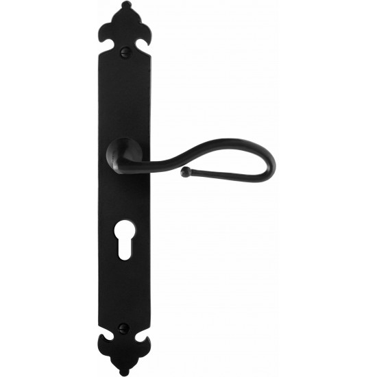 GPF6260.60R SMEEDIJZER ZWART LUMI DEURKRUK OP LANGSCHILD PC55, 291X41X