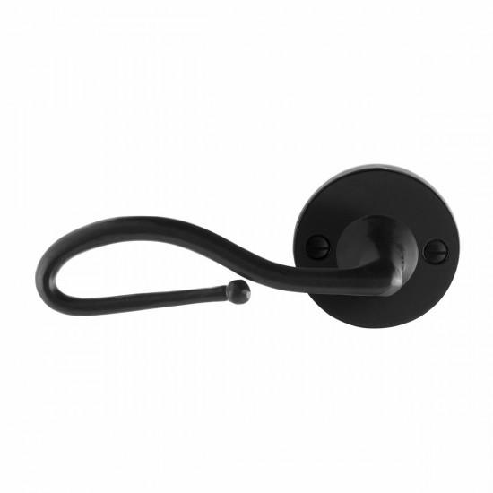 GPF6260.00L SMEEDIJZER ZWART LUMI DEURKRUK OP RONDE ROZET, 53X5MM