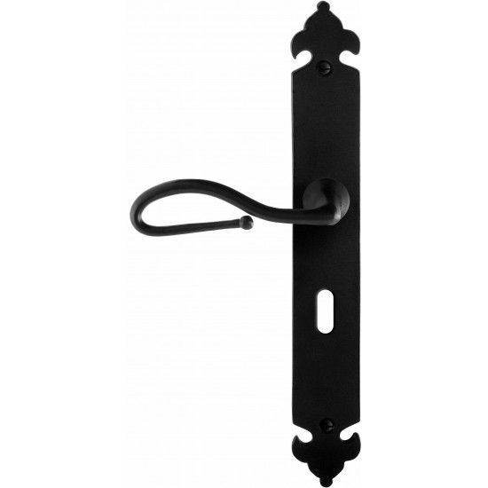 GPF6260.60L SMEEDIJZER ZWART LUMI DEURKRUK OP LANGSCHILD BB56, 291X41X