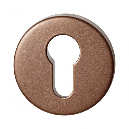 GPF9393.A2 BRONZE BLEND RONDE VEILIGHEIDSBINNENROZET 54X10 MM SKG*** GPF9393.A2 BRONZE BLEND RONDE VEILIGHEIDSBINNENROZET 54X10 MM SKG***