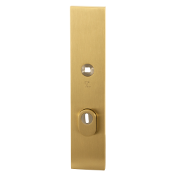 GPF9018P4032 PVD MAT MESSING, VH BUITENSCHILD SKG*** 248X52X11MM RECHTHOEKIG MET KERNTREKBEVEILIGING PC55 MASSIEF GPF9018P4032 PVD MAT MESSING, VH BUITENSCHILD SKG*** 248X52X11MM RECHTHOEKIG MET KERNTREKBEVEILIGING PC55 MASSIEF