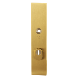 GPF9018P4042 PVD MAT MESSING, VH BUITENSCHILD SKG*** 248X52X11MM RECHTHOEKIG MET KERNTREKBEVEILIGING PC72 MASSIEF GPF9018P4042 PVD MAT MESSING, VH BUITENSCHILD SKG*** 248X52X11MM RECHTHOEKIG MET KERNTREKBEVEILIGING PC72 MASSIEF