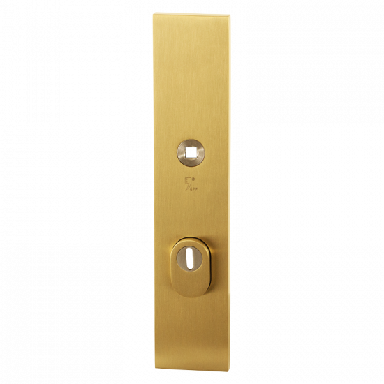 GPF9018.72P4 PVD MESSING SATIN VEILIGHEIDSBUITENSCHILD SKG*** 248X52X1 GPF9018.72P4 PVD MESSING SATIN VEILIGHEIDSBUITENSCHILD SKG*** 248X52X1