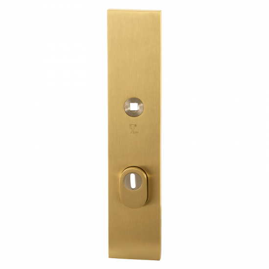 GPF9018.92P4 PVD MESSING SATIN VEILIGHEIDSBUITENSCHILD SKG*** 248X52X1 GPF9018.92P4 PVD MESSING SATIN VEILIGHEIDSBUITENSCHILD SKG*** 248X52X1