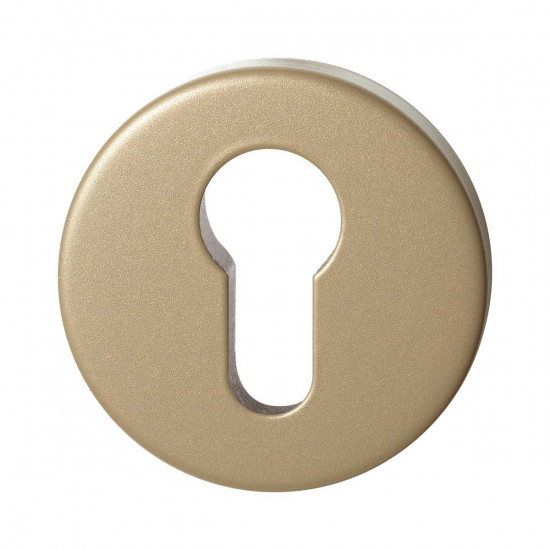 GPF9393.A4 CHAMPAGNE BLEND RONDE VEILIGHEIDSBINNENROZET 54X10 MM SKG** GPF9393.A4 CHAMPAGNE BLEND RONDE VEILIGHEIDSBINNENROZET 54X10 MM SKG**