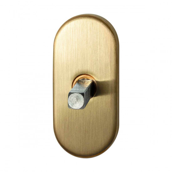 GPF1100.30P4 PVD MESSING SATIN DRAAIKIEPMECHANISME OVAAL 65X30X12 MM M GPF1100.30P4 PVD MESSING SATIN DRAAIKIEPMECHANISME OVAAL 65X30X12 MM M
