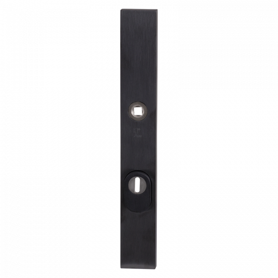 GPF9038.92P1 PVD ANTRACIET VEILIGHEIDSBUITENSCHILD SMAL SKG*** 257X35X GPF9038.92P1 PVD ANTRACIET VEILIGHEIDSBUITENSCHILD SMAL SKG*** 257X35X