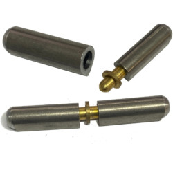 AANLASPROFIELSCHARNIEREN MET RONDE KOP 9013 FES 100 MM