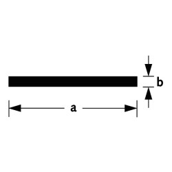 PLATSTAF STAAL GELAKT L=2M PLATSTAF STAAL GELAKT L=2M