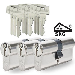 PFAFFENHAIN CILINDER EF 30/30 SKG2 SET VAN 3 GELIJKSL. INCL. SLEUTELS PFAFFENHAIN CILINDER EF 30/30 SKG2 SET VAN 3 GELIJKSL. INCL. SLEUTELS