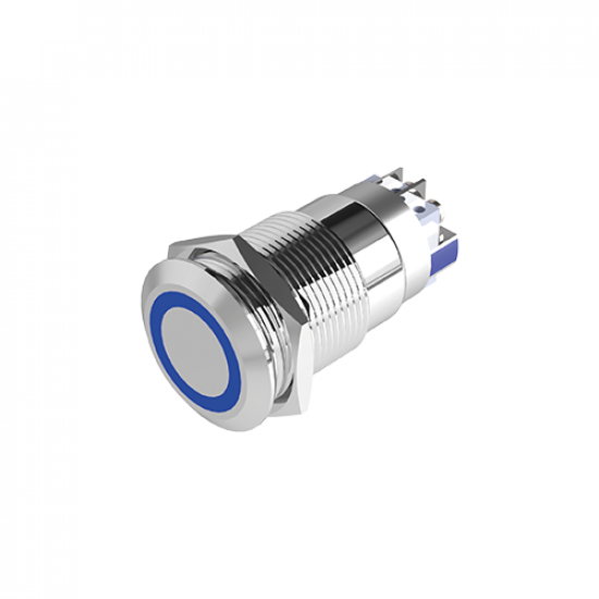 PUSH BUTTON STAINLESS STEEL (NO+NC) 12 V DC